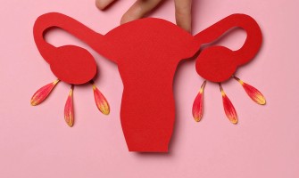 Sex and your cycle: the ovulation phase