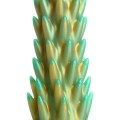 Creature Cocks Stegosaurus 7.6" Silicone Spiky Reptilian Monster Dildo Creature Cocks Stegosaurus 7.6" Silicone Spiky Reptilian Monster Dildo